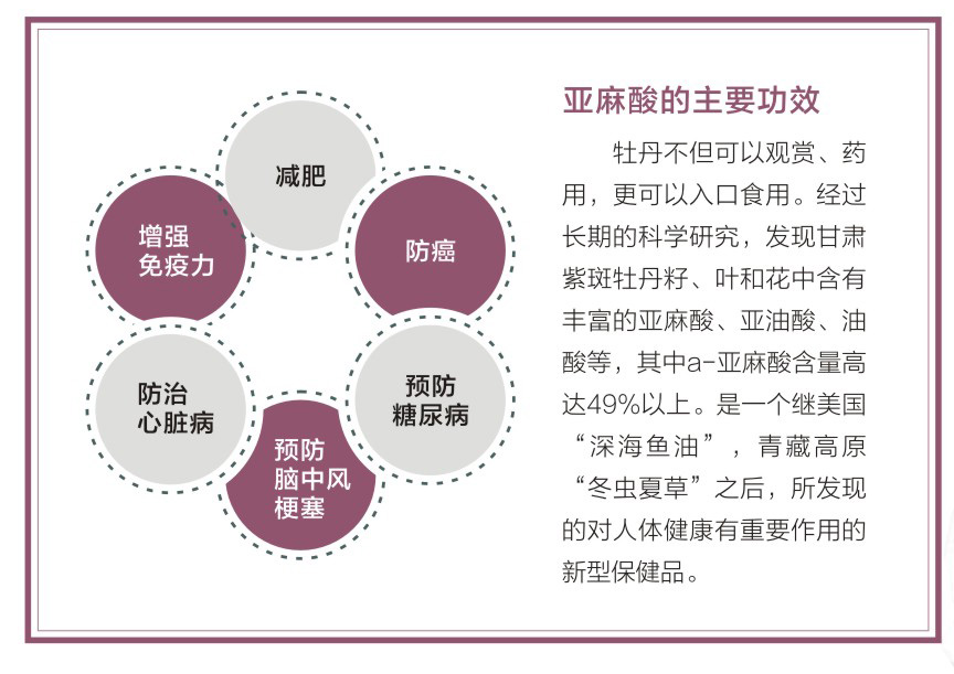 亚麻酸的主要功能
