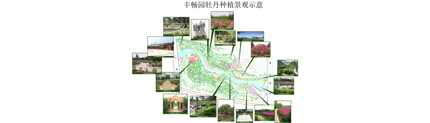 2011年建成的新疆昌吉滨河湖景观带规划的牡丹观赏园