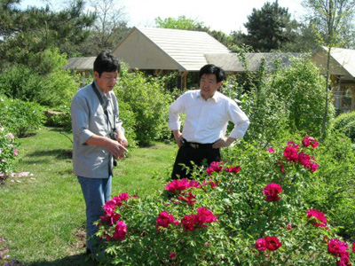 2004-2006年建成的沈阳植物样板园工程