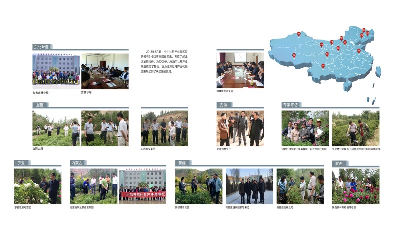 各地科研机构与客商来实地考察中川牡丹产业园