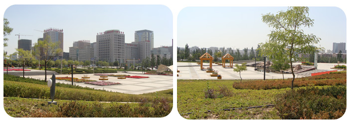 鄂尔多斯东胜区广场绿化实景