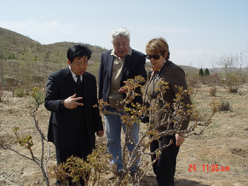 赵潜龙在牡丹地块技术讲解