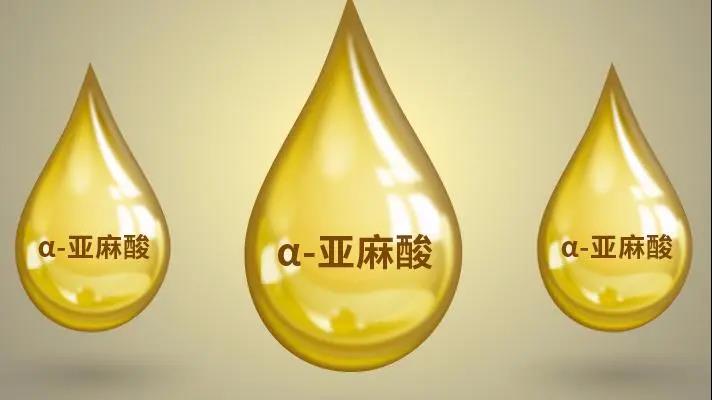 亚麻酸