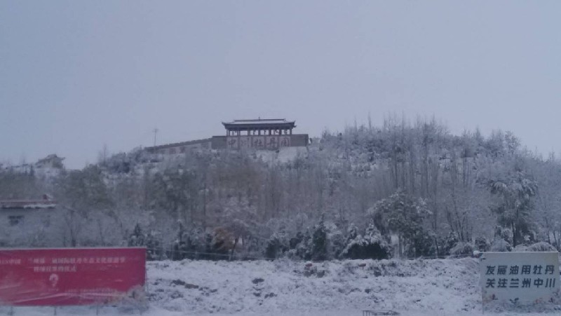 中川牡丹种植基地