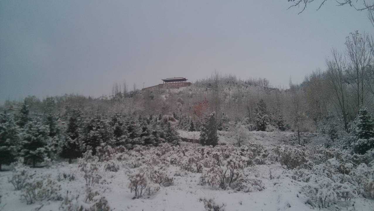 雪地中的中川牡丹园